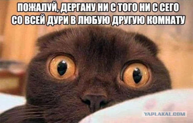 WTF: Что тут происходит?