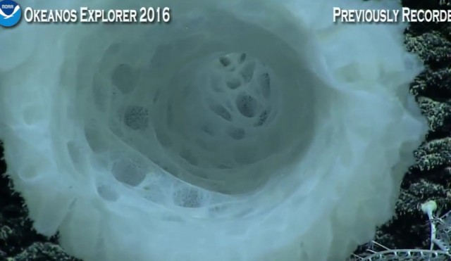 Началась онлайн-трансляция происходящего в самом глубоком месте Земли