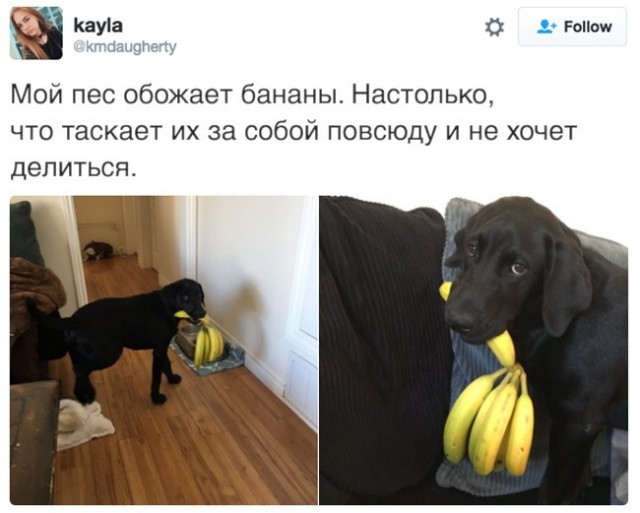 18 фотографий, которые сделают ваш день чуточку счастливее!