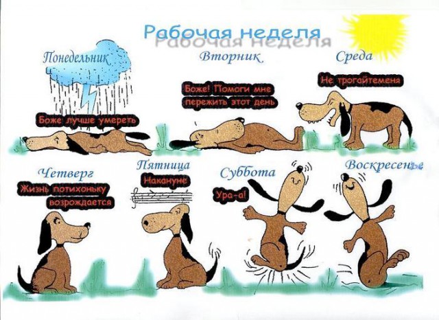 Понедельничные маразмы