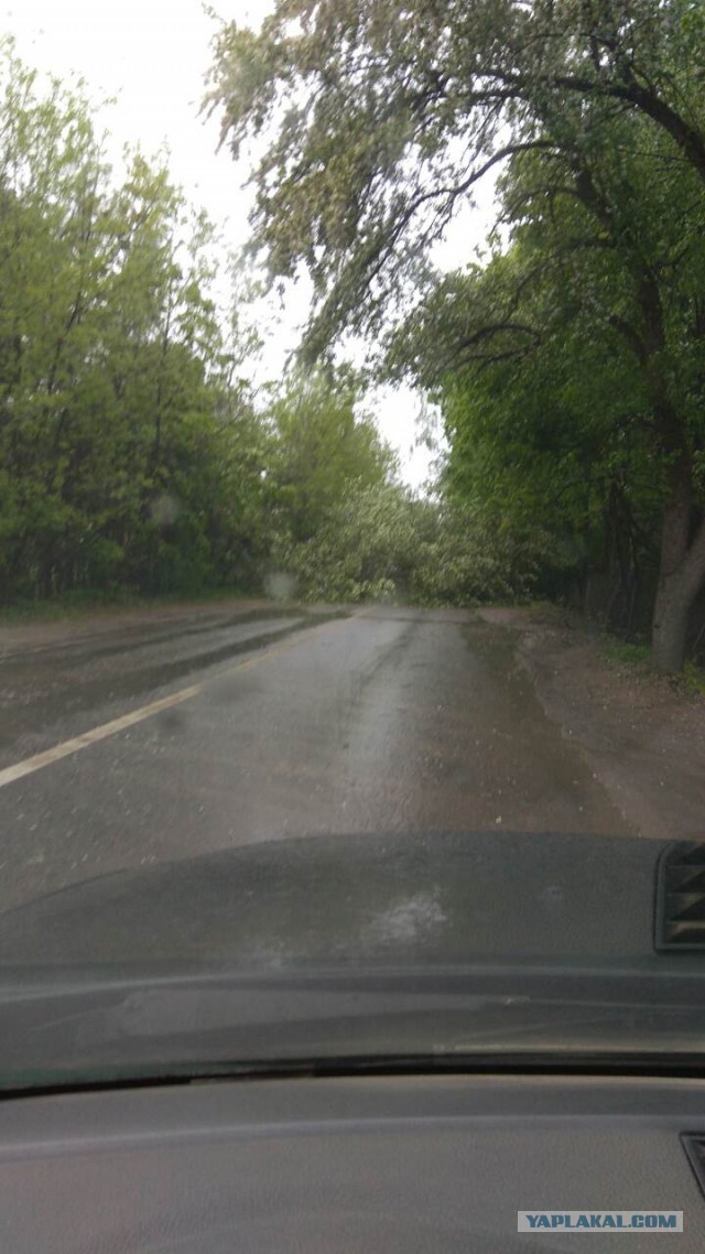 В Москве ураган!