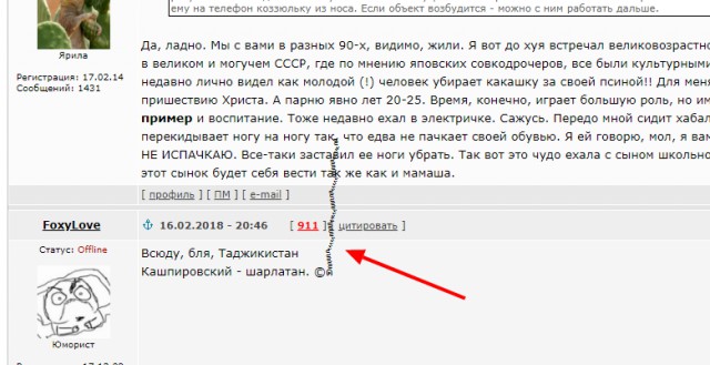 Свиньи в транспорте