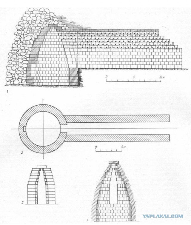 Скляровцы в полях - 3 (гора Хрони)