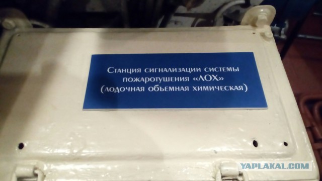 Поездка в Калининград
