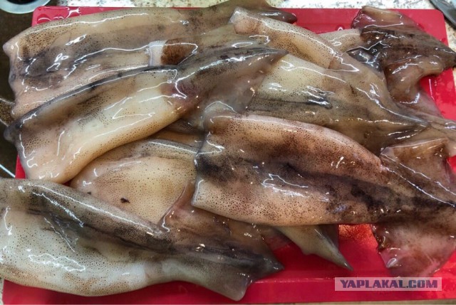 Котлеты из кальмара