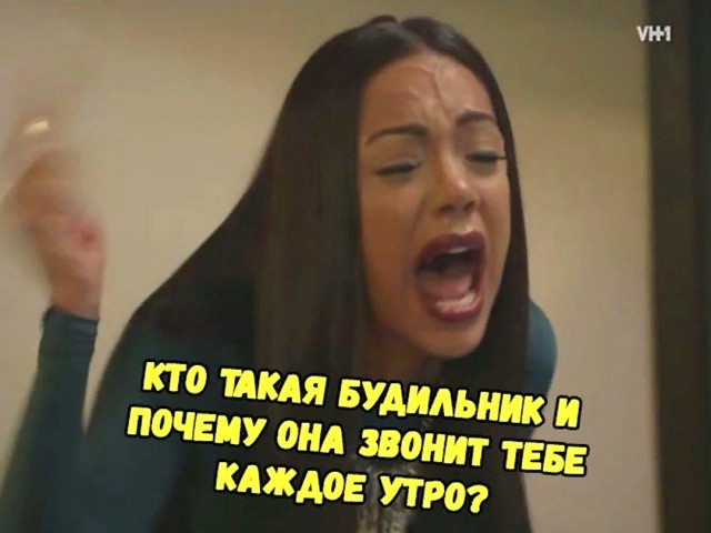 Скотсети и прочие интернеты 25.10.18