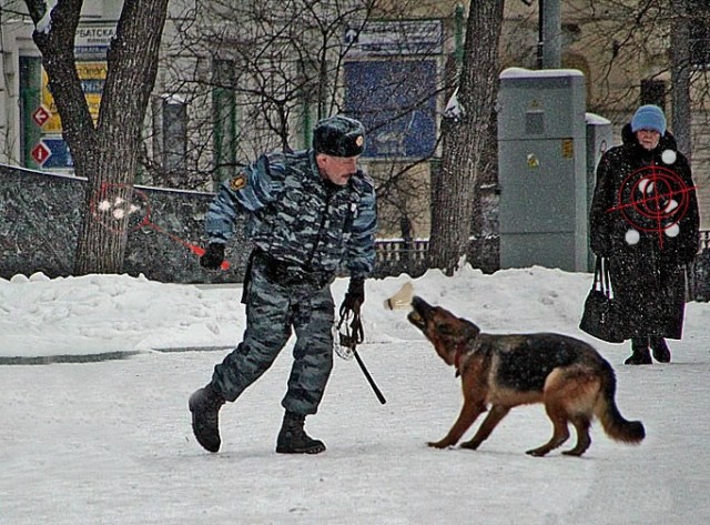 Сопротивление сотруднику полиции