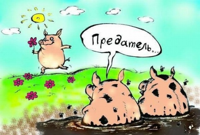 Прошел уже год с того момента как я переехала из Украины в Норвегию
