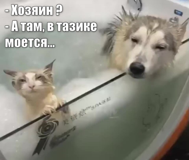 "Картинки разные нужны, картинки разные важны!" ©