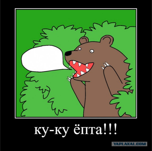 Экс-депутата задрал медведь...