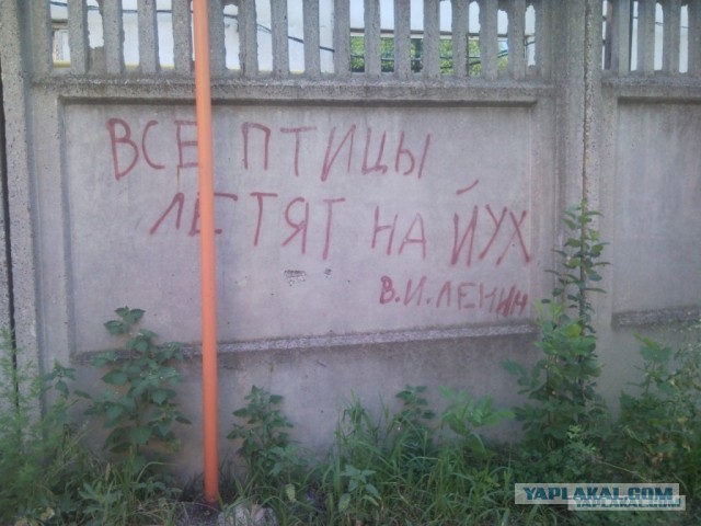 Открытое обращение к Ирине Волк