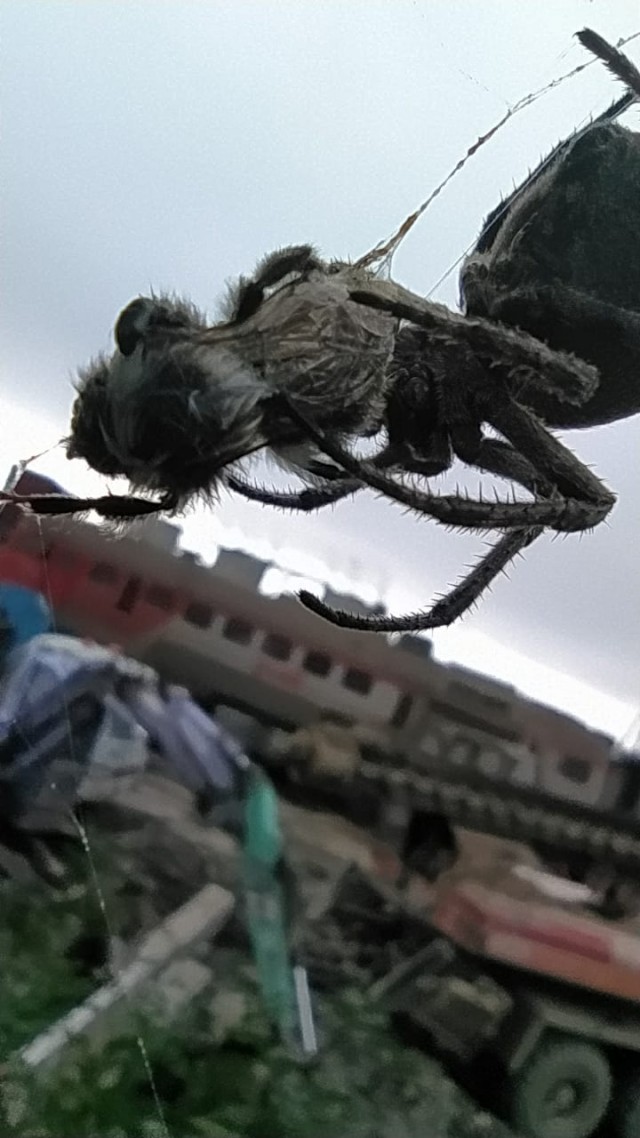 Кормим олежика