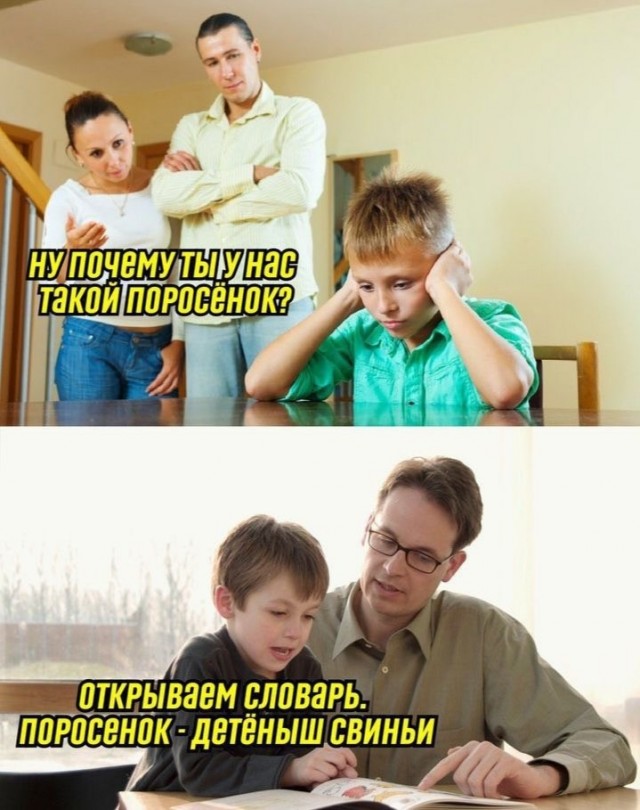 Фотки и картинки: юморные и красивые, забавные и милые 14.09.20