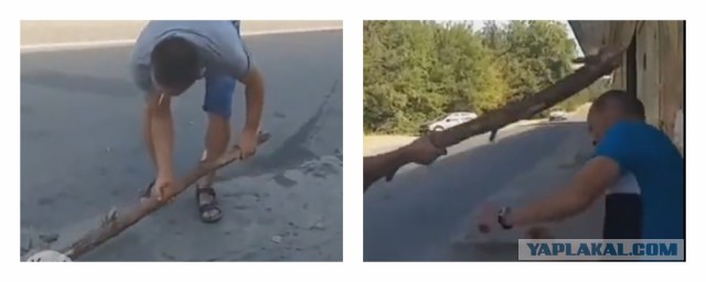 Умеют люди отдыхать. Спокойной ночи на новый лад