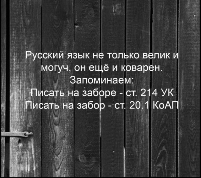 Юмор в картинках 11.11.2020 (2)