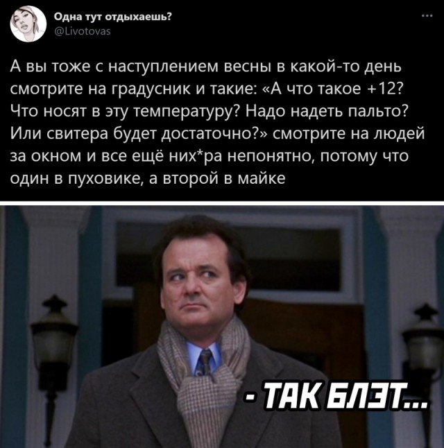 Весёлый полтишок 17.02