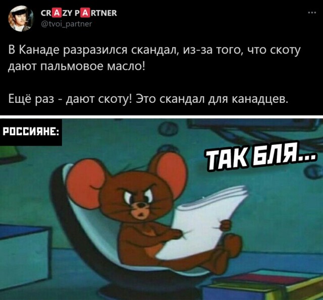 Весёлый полтишок 17.03