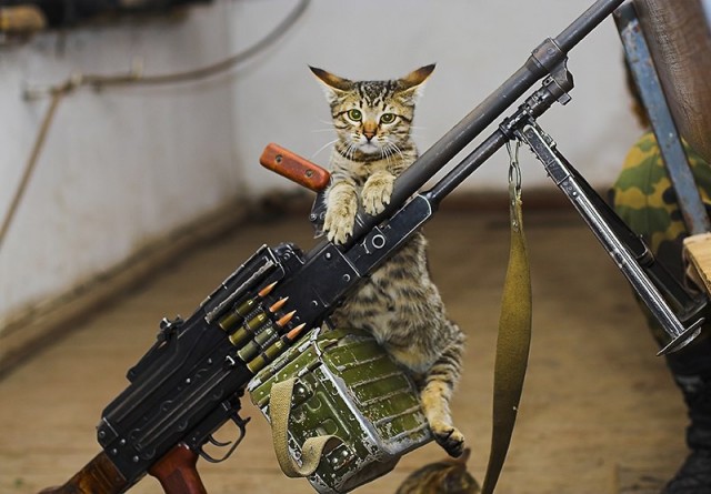 Разрешите войти?!