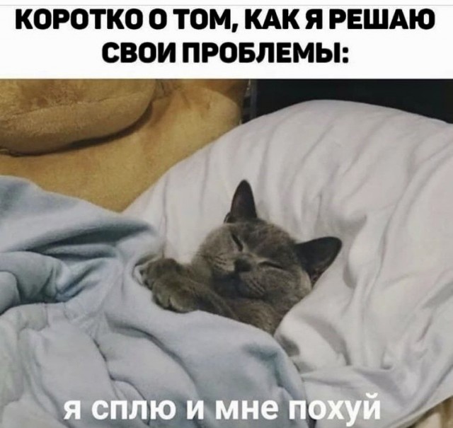 Юмор и прикольные картинки