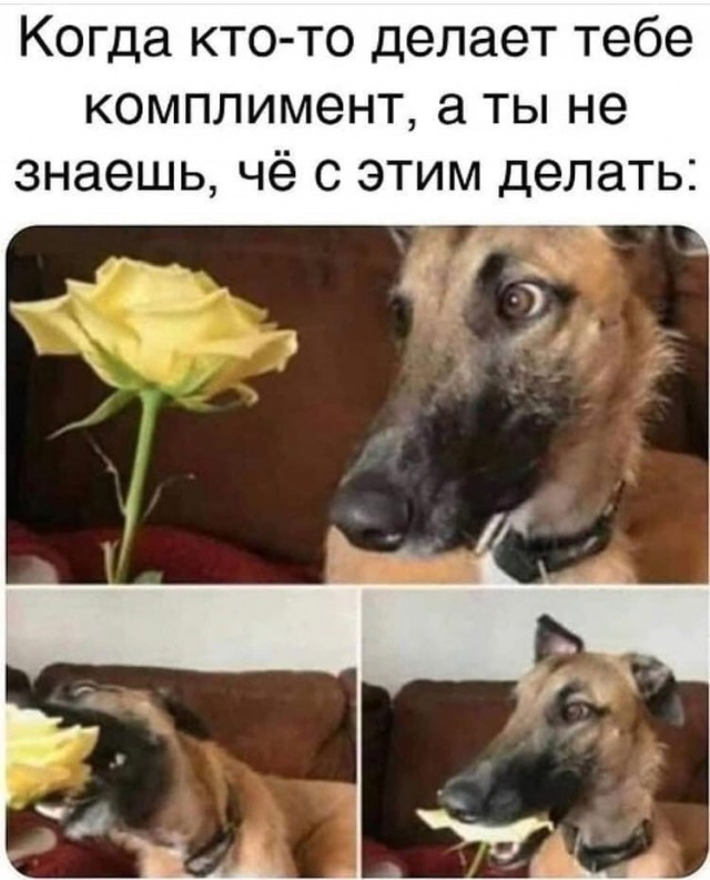 Так себе картинки 16.08.21