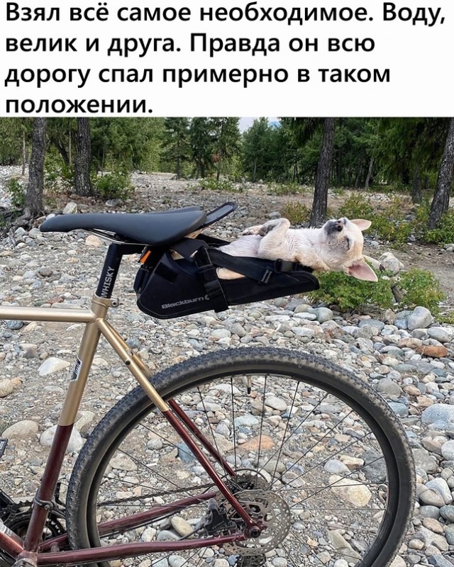 Картинки и мемы для настроения 19.08.2021
