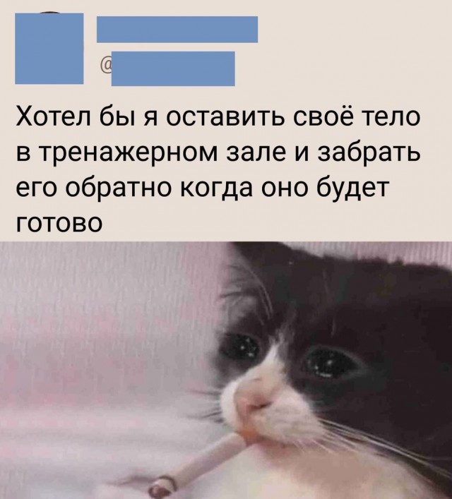 Так себе картинки 03.09.21