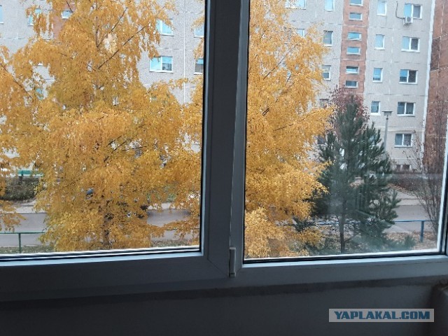 Пандемия. Коронавирус. Россия и мир. Последняя информация. Часть 25