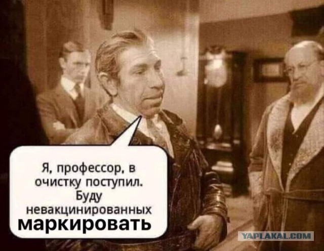 Весёлый полтишок 26.11