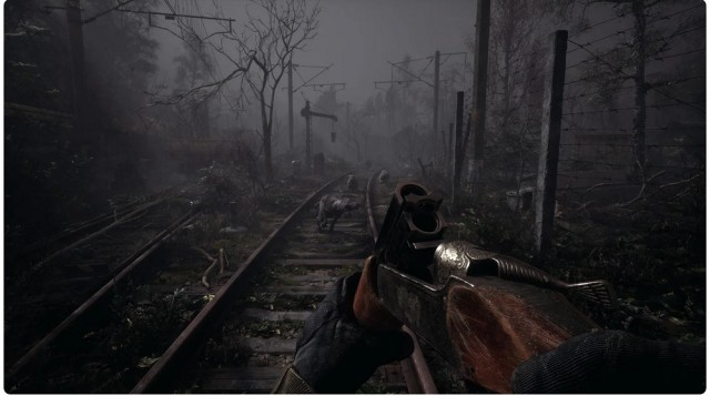 Разработка S.T.A.L.K.E.R. 2: Heart of Chernobyl заморожена. Авторы не назвали сроки возобновления разработки