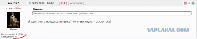 Лавров предложил не переживать из-за нового «железного занавеса»