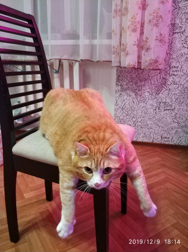 Выключайте скорее свои мимиметры!