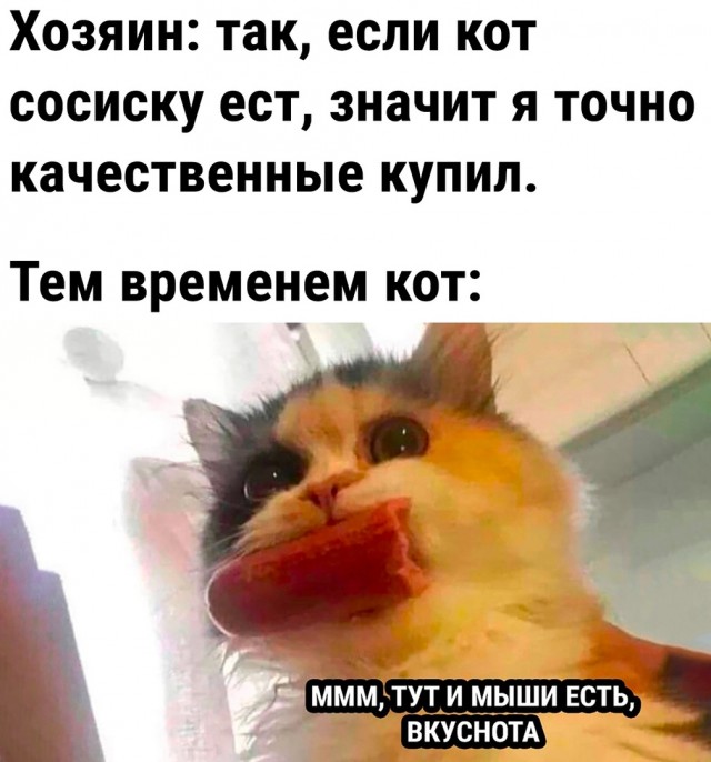 Так себе картинки 06.04.22