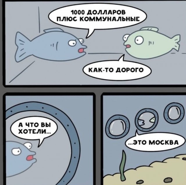Камуфляж
