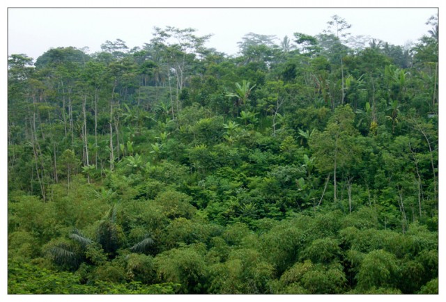 Мы на о. Бали / Индонезия.