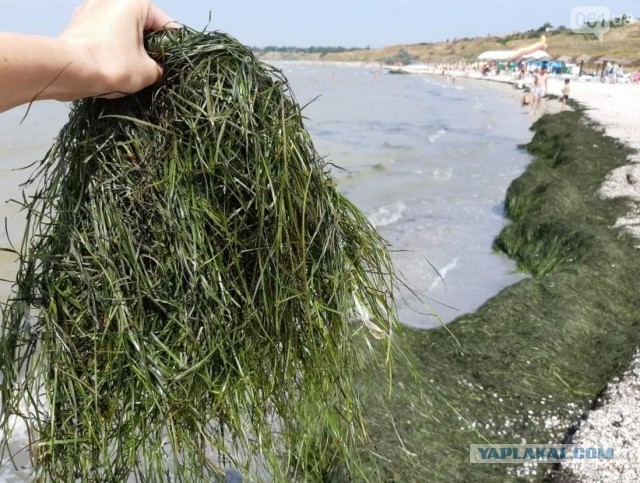 Курорты Краснодарского края