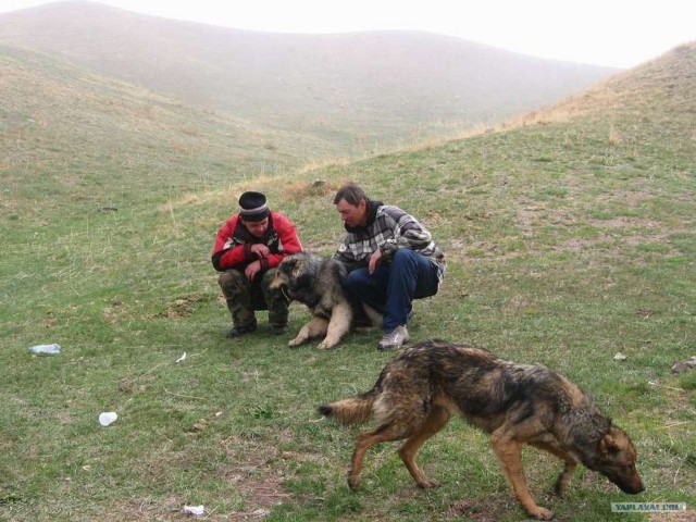 Рыбалка в горах. Плато Ассы.