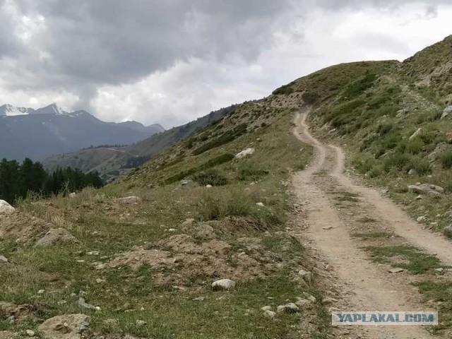 Пару недель как с Учара!