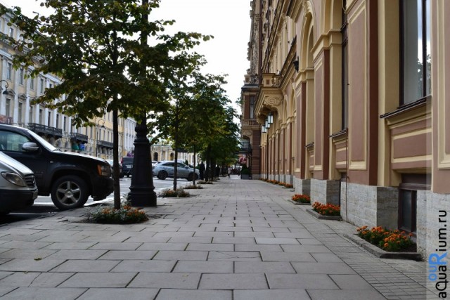 СПб глазами уставшего туриста...