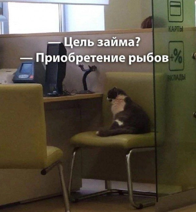 25 воскресных картинок