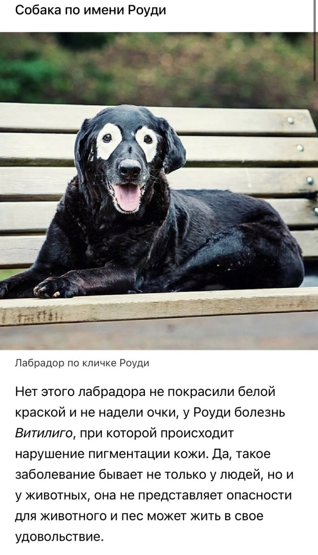 Ну, типа, с четвергом!