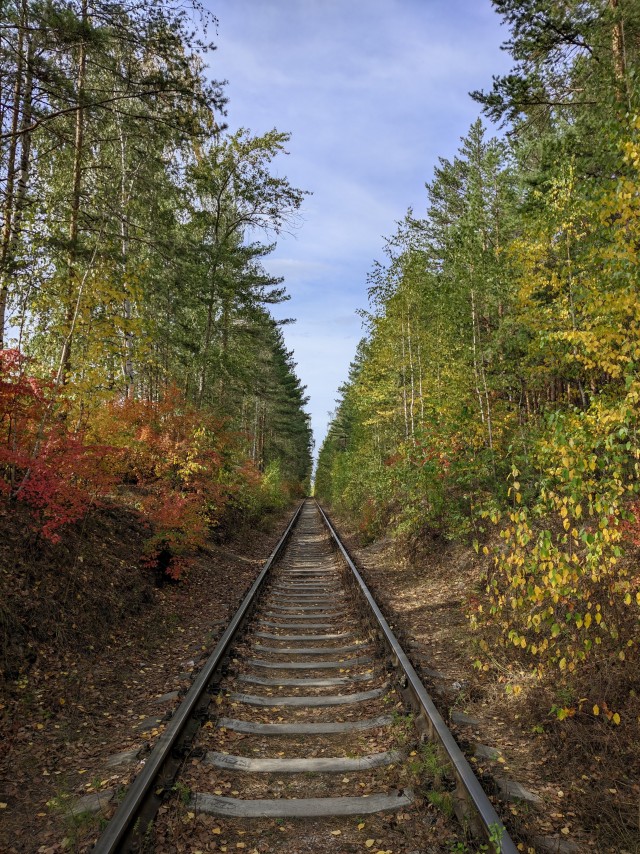 Моя мобильная фотография