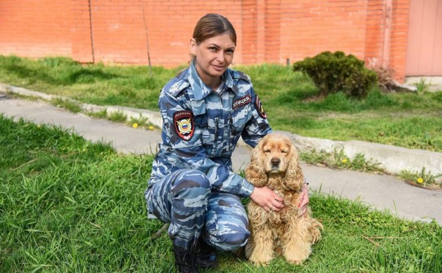 Подборка служебных собак