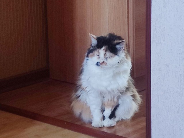 Я раб