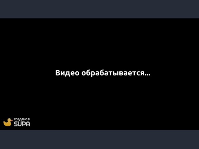 Попытка кота сбежать из дома провалилась полностью.
