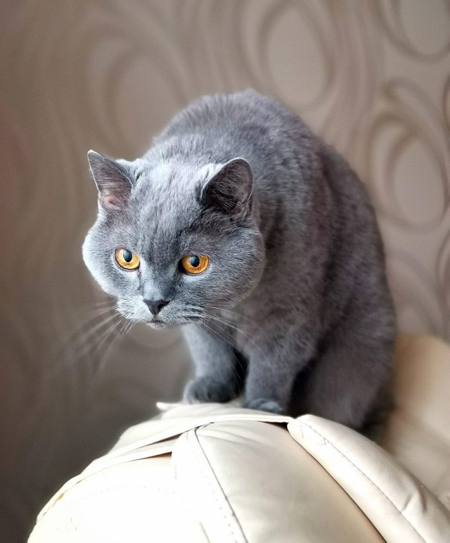 Самый страшный страх, который я испытывал