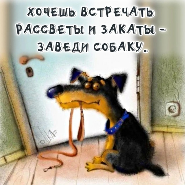 Весёлый полтишок 12.07 23