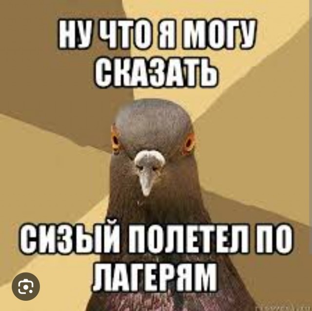 Дно пола панина