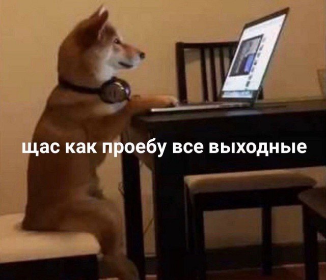 Всего понемногу. От 08.12.23