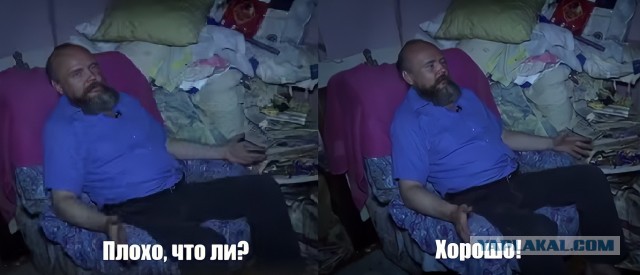 Свободные и счастливые