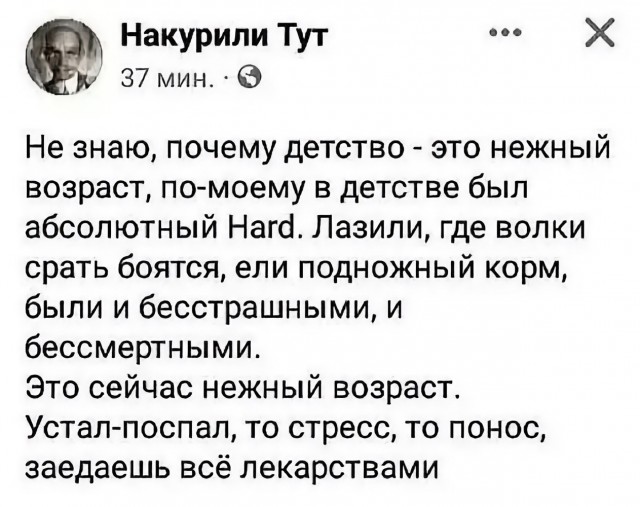 Весёлый полтишок 02.04.24